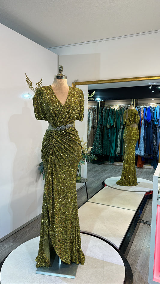 Beautiful oil green dress design, edited